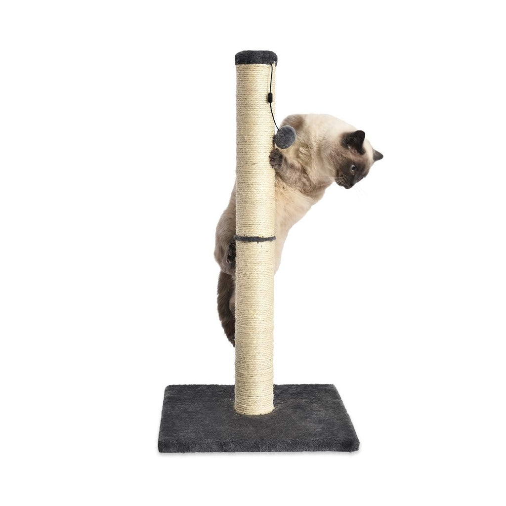 Cat Scratching Post with Dangling Ball Toy, Grey U264