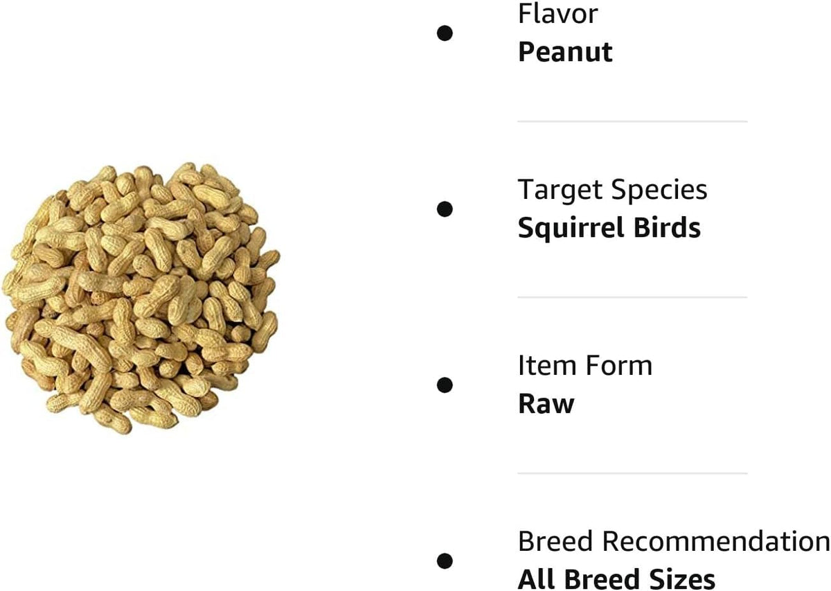Raw Peanuts in Shell 5LB C498213