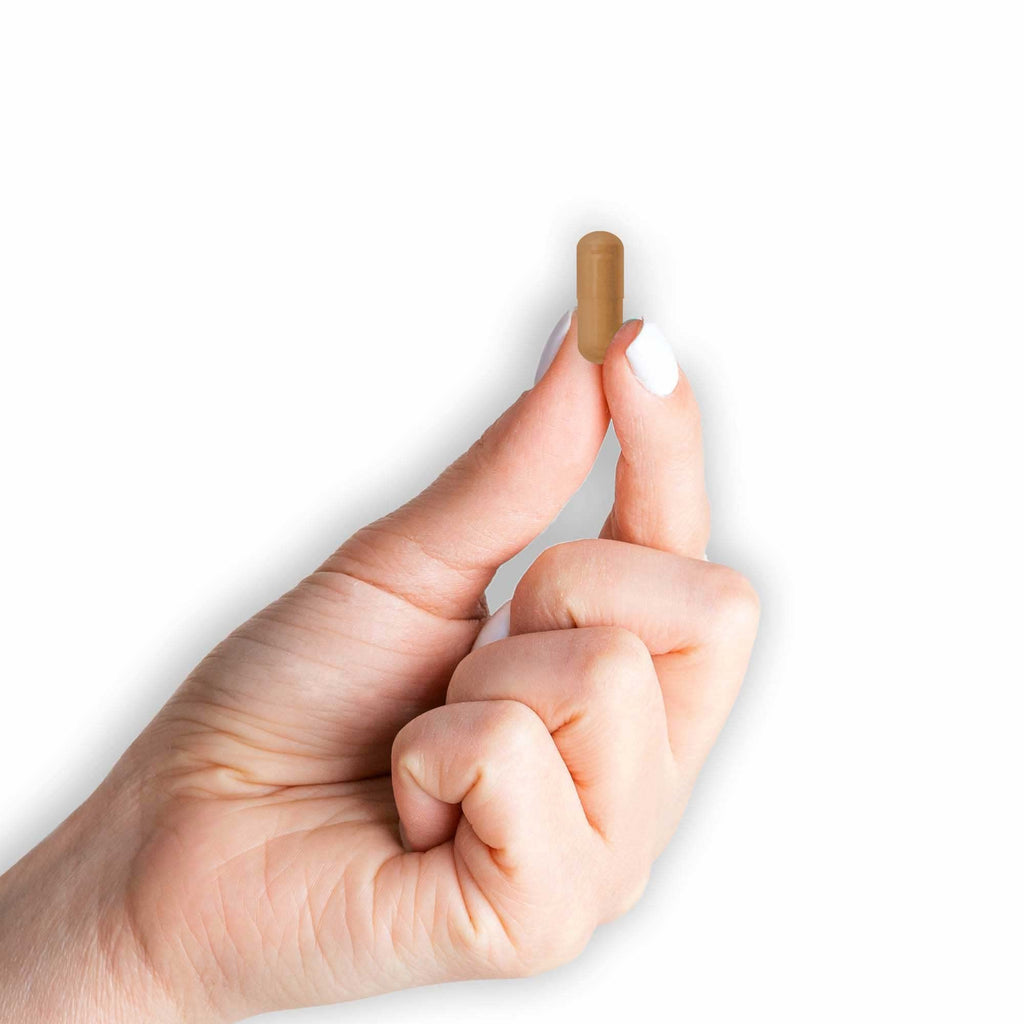 Cinnamon 1000 mg Dietary Supplement Capsules K445336