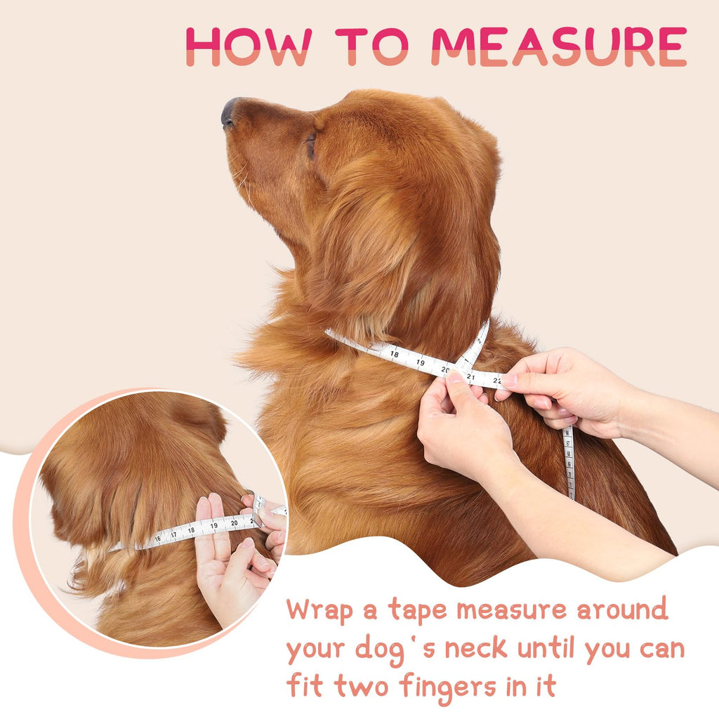 Inflatable Dog Cone Collar S398