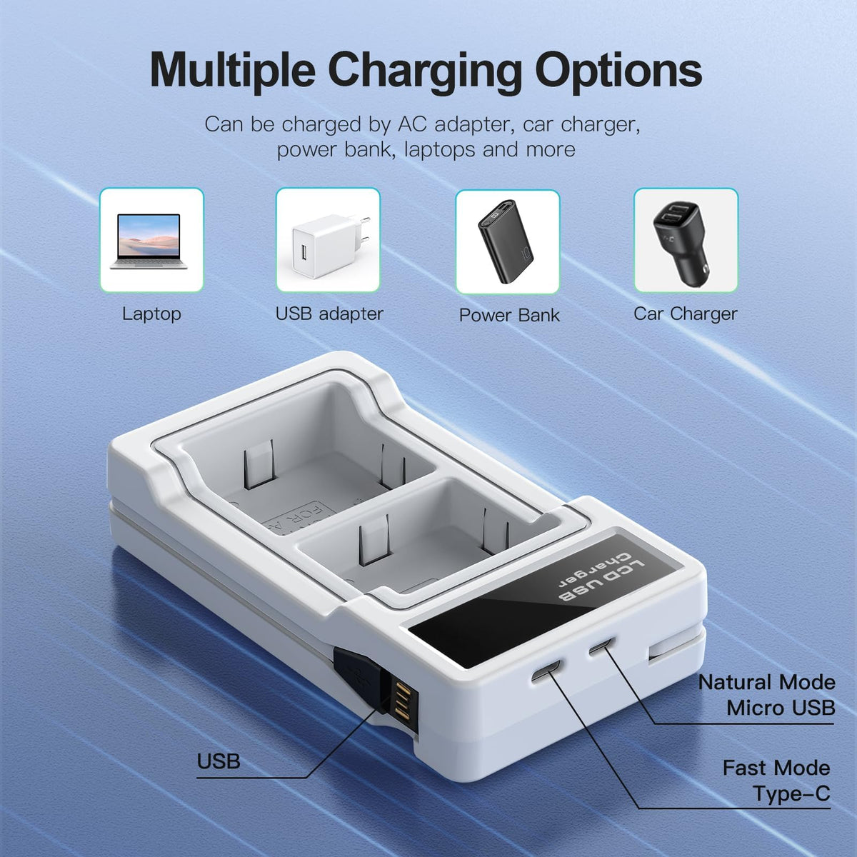 2440mAh Battery and Charger R169823