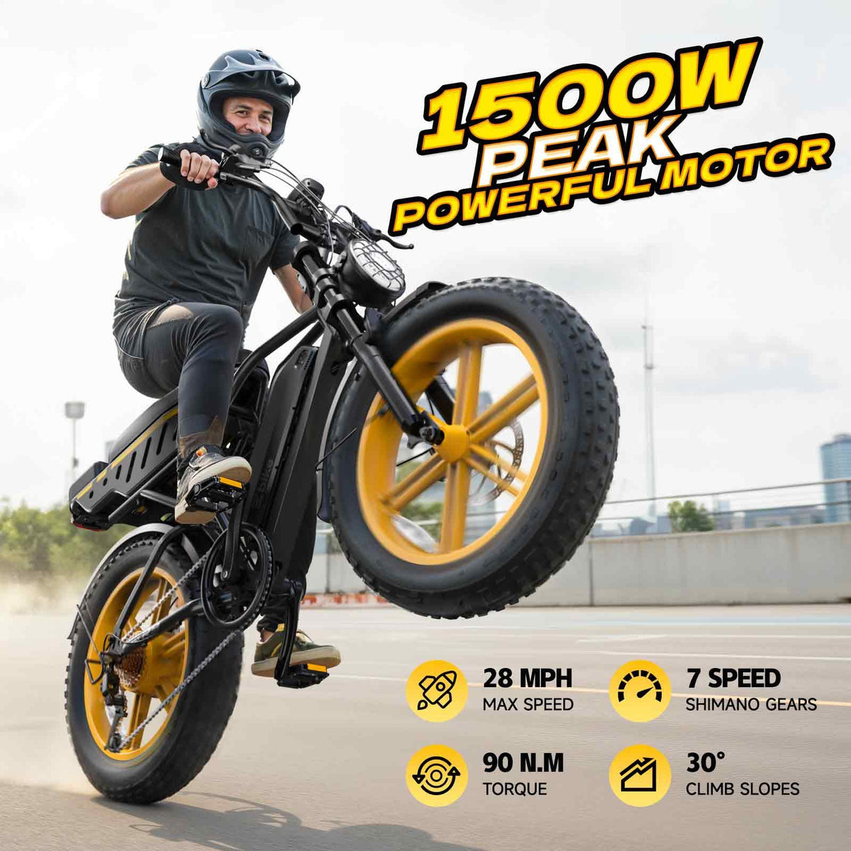 Electric Bike for Adults 48V 15/30 Ah Battery H220