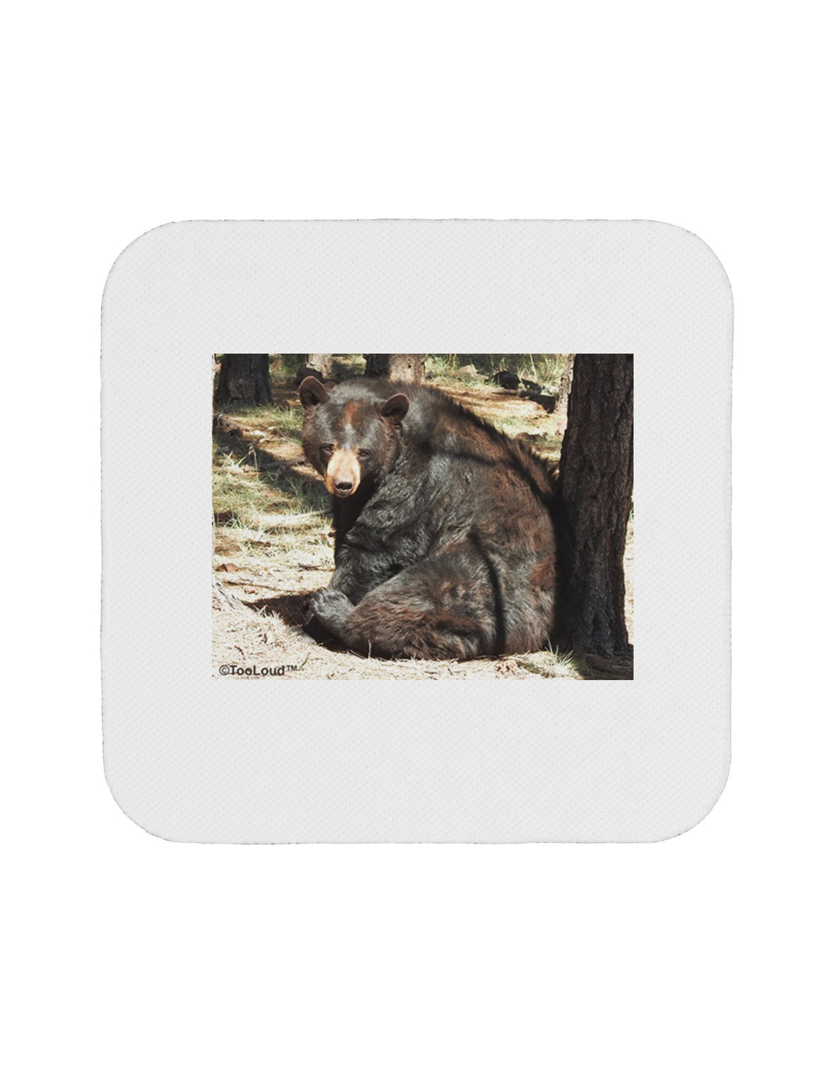Black Bear 4 Piece Set of Coasters N8385