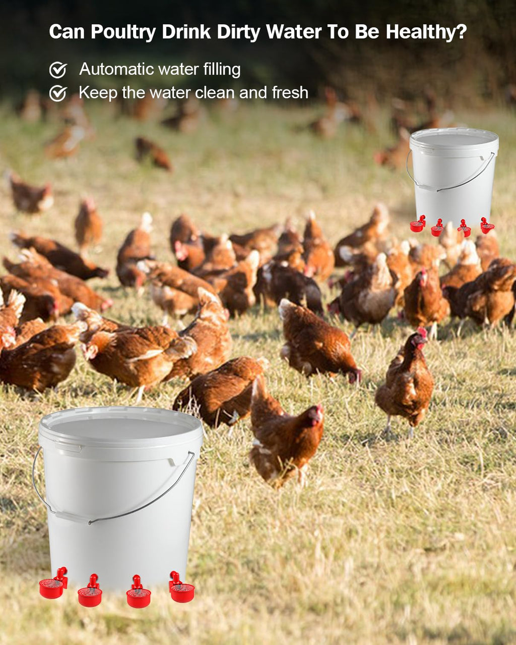 30 Packs Large Automatic Poultry Water Feeder Cups with Tee Fittings L3132