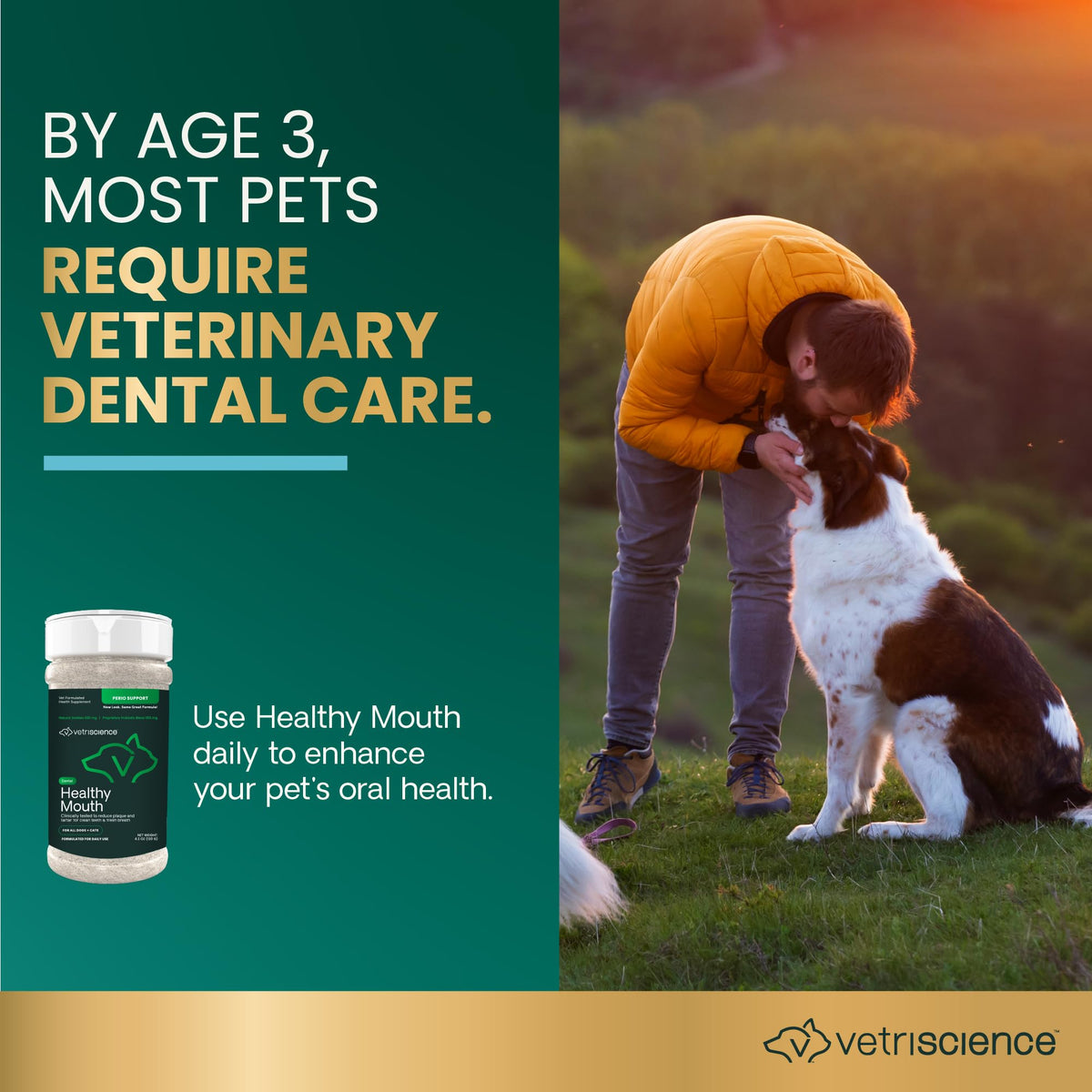 Dental Care Powder for Dogs and Cats, 4.2 oz I984