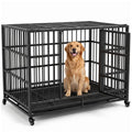 48" Heavy Duty Dog Crate V8771