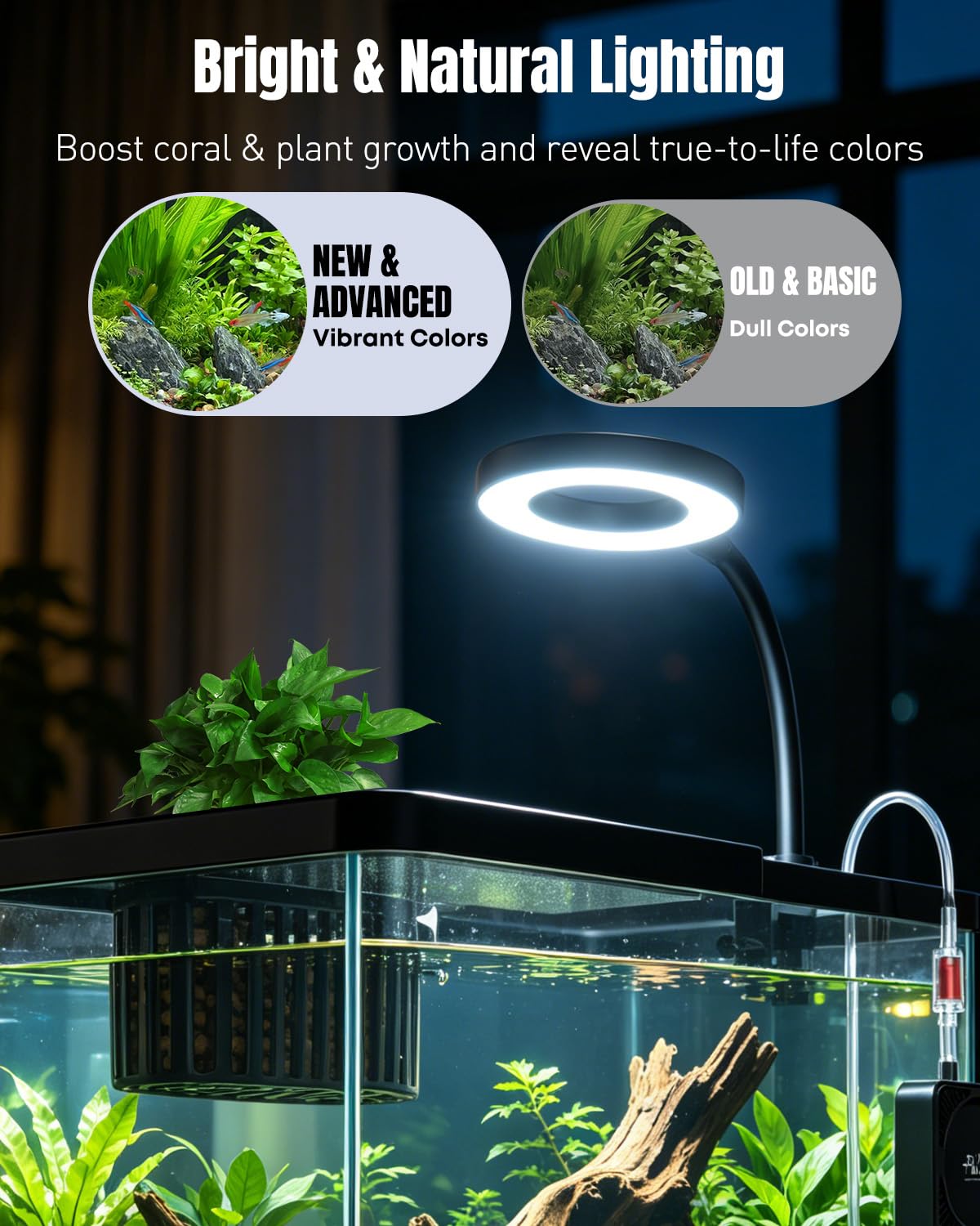 2 Gallon Ultra Clear Aquarium Starter Kit with LED Light, Air Pump, Filter X6702