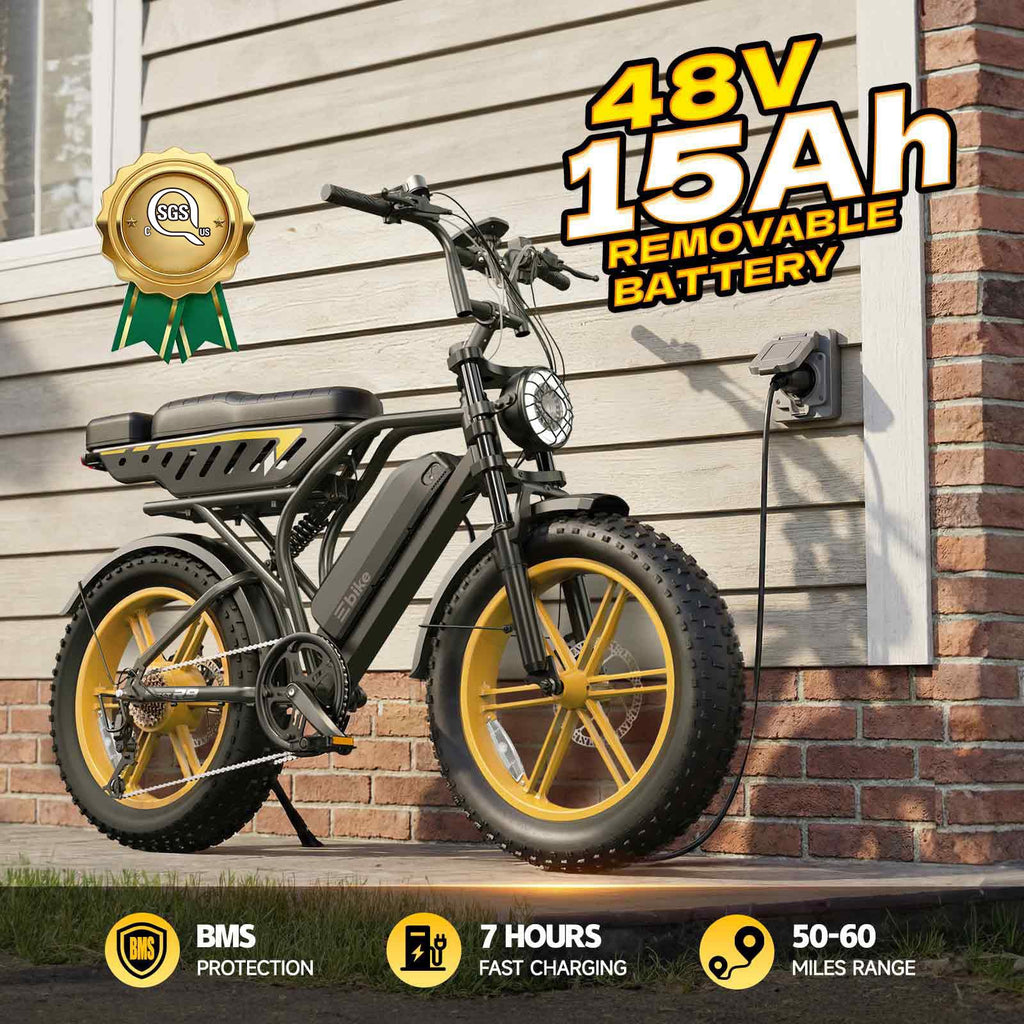 Electric Bike for Adults 48V 15/30 Ah Battery H220