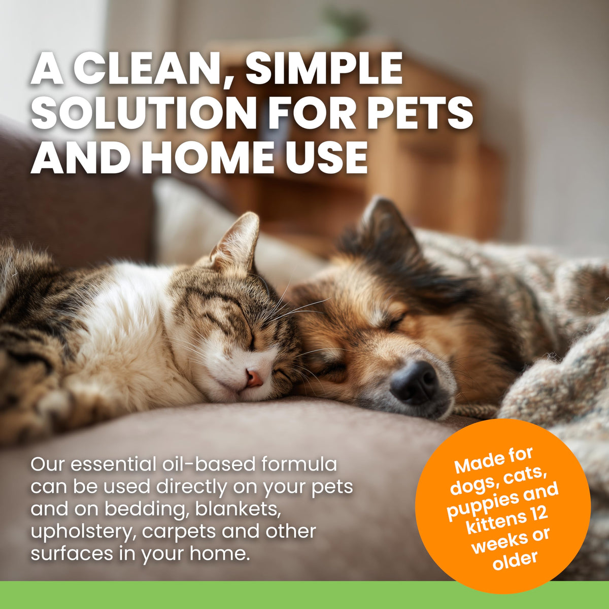Plant-Based Flea & Tick Spray for Dogs & Cats B627779