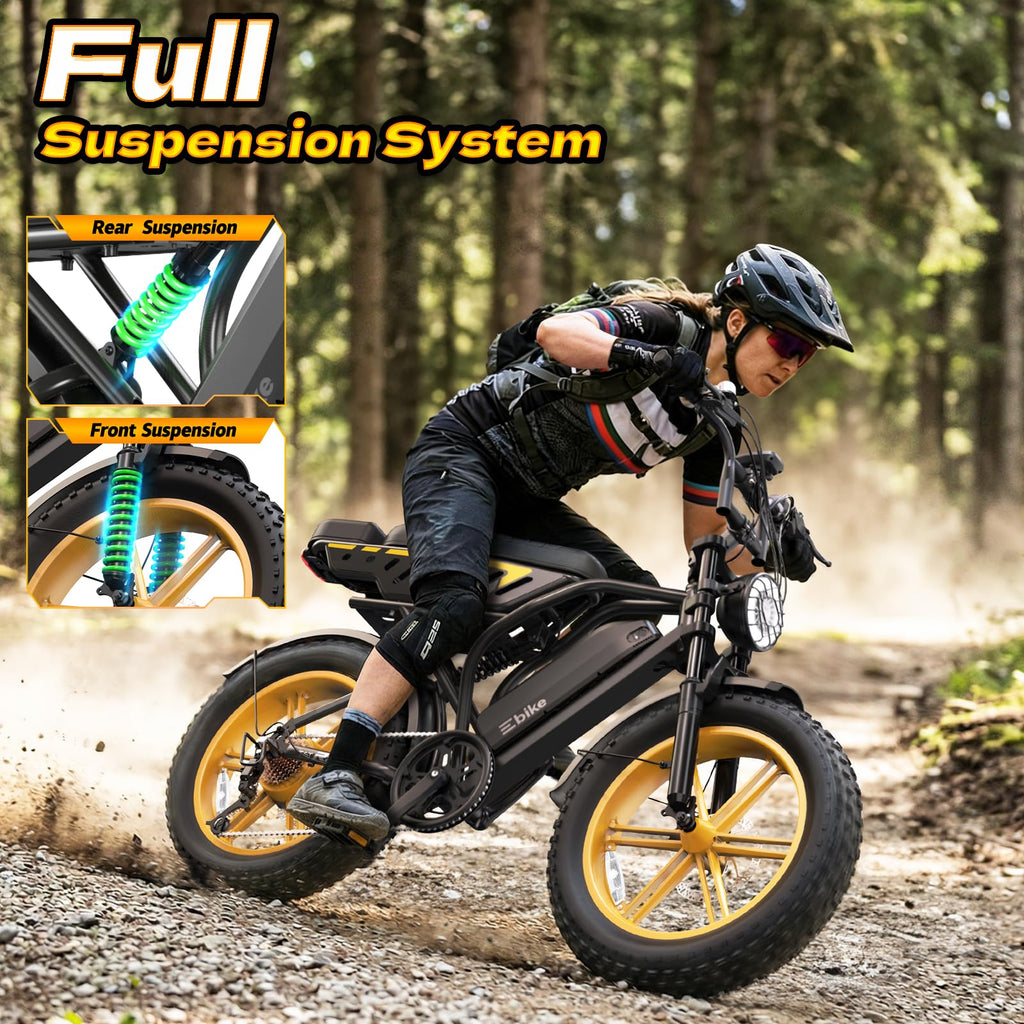 Electric Bike for Adults 48V 15/30 Ah Battery H220