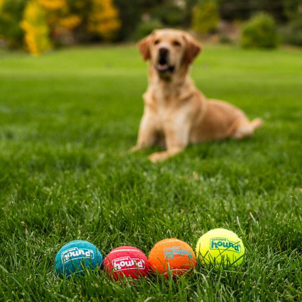 Squeaker Ballz Tennis Ball Dog Toy 4-Pack N821480