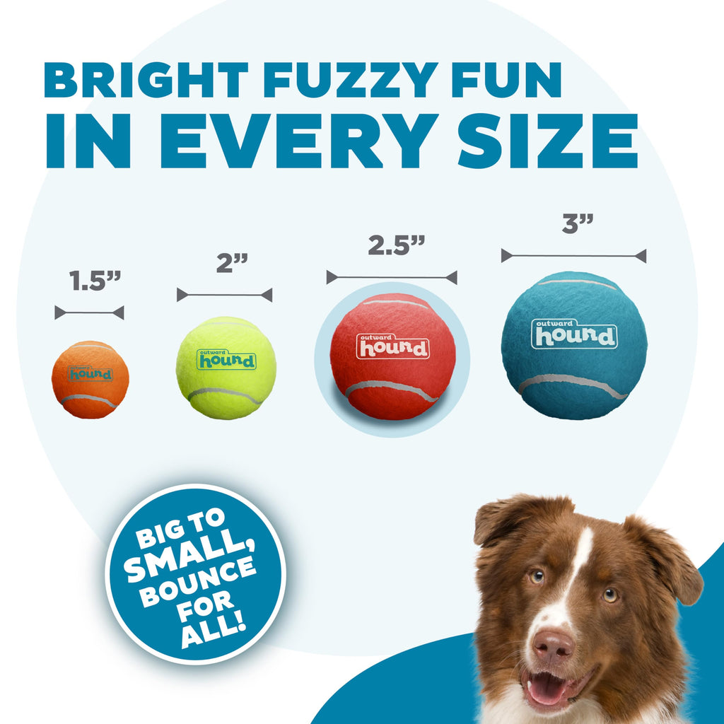 Squeaker Ballz Tennis Ball Dog Toy 4-Pack N821480