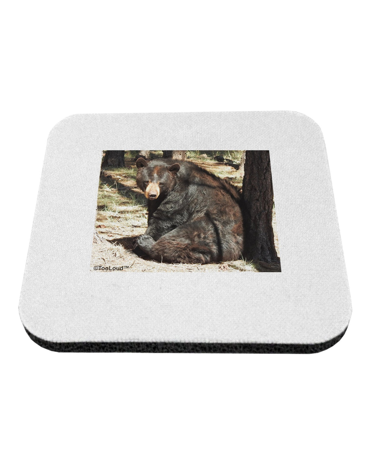 Black Bear 4 Piece Set of Coasters N8385
