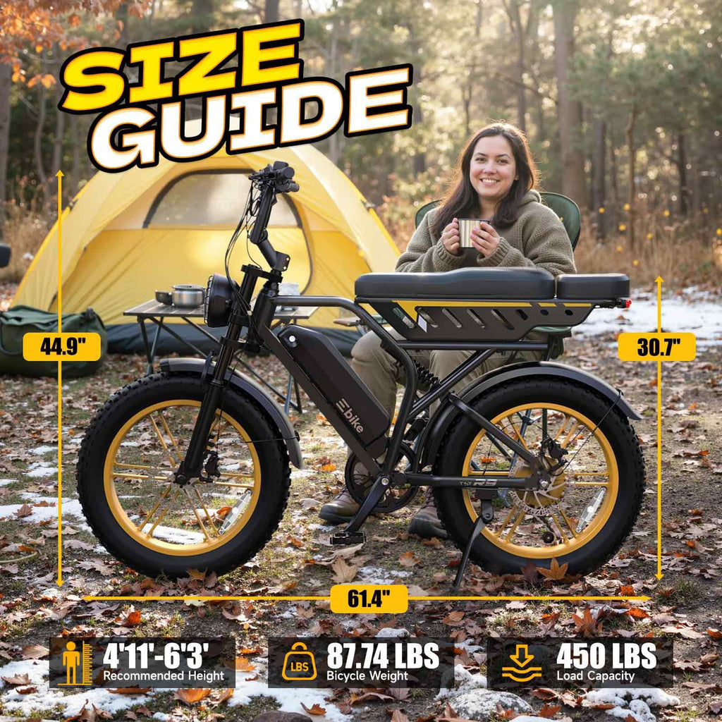 Electric Bike for Adults 48V 15/30 Ah Battery H220