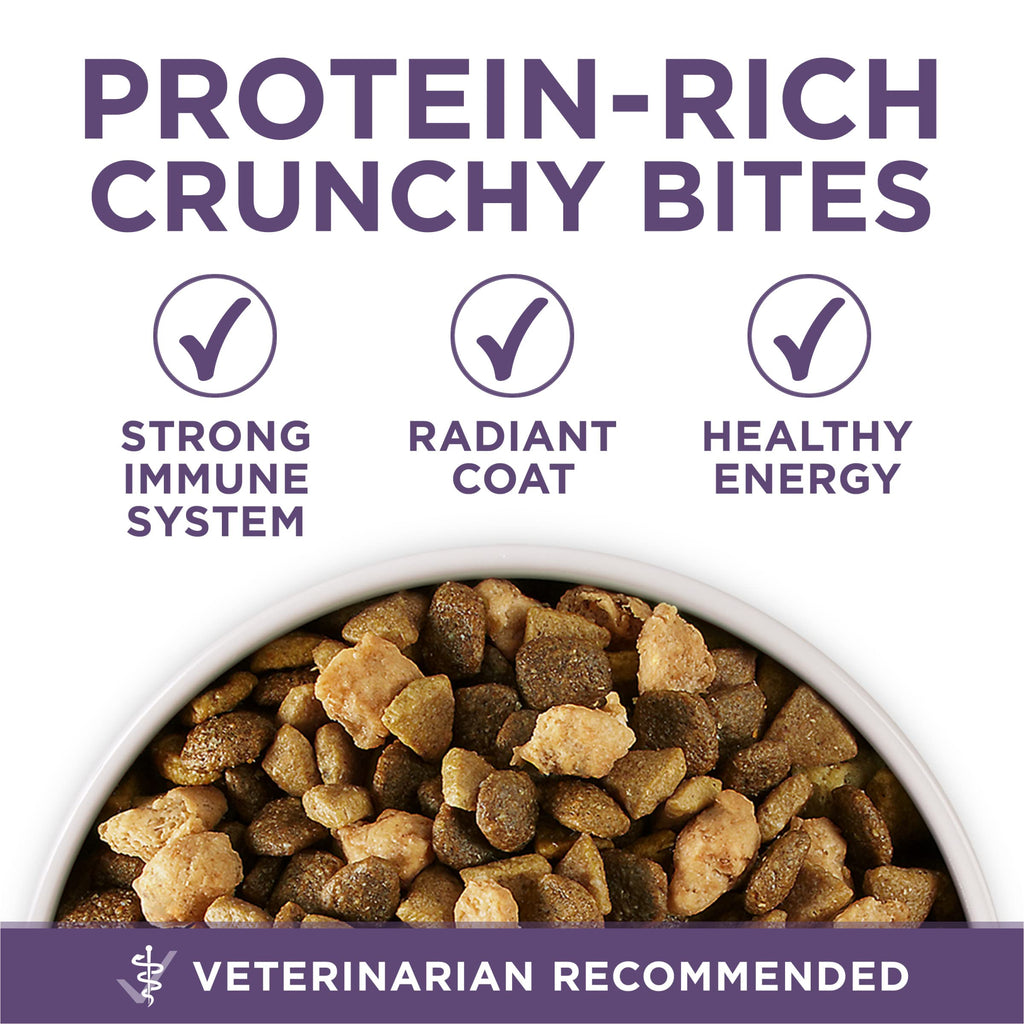 Senior Dry Dog Food 31.1 lb Bag V99299