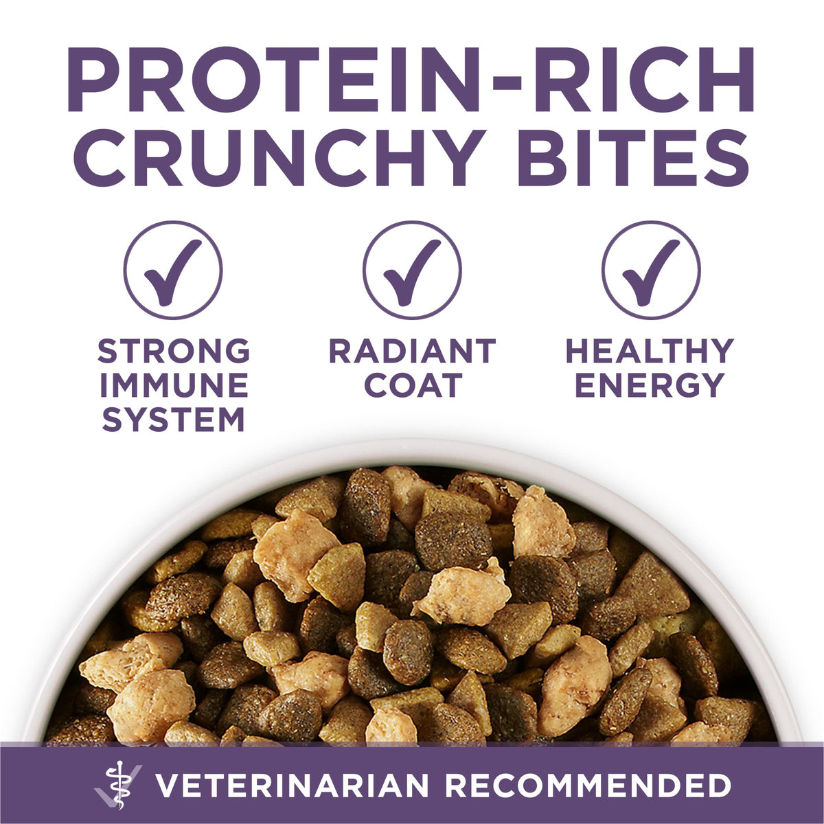 Senior Dry Dog Food 31.1 lb Bag V99299