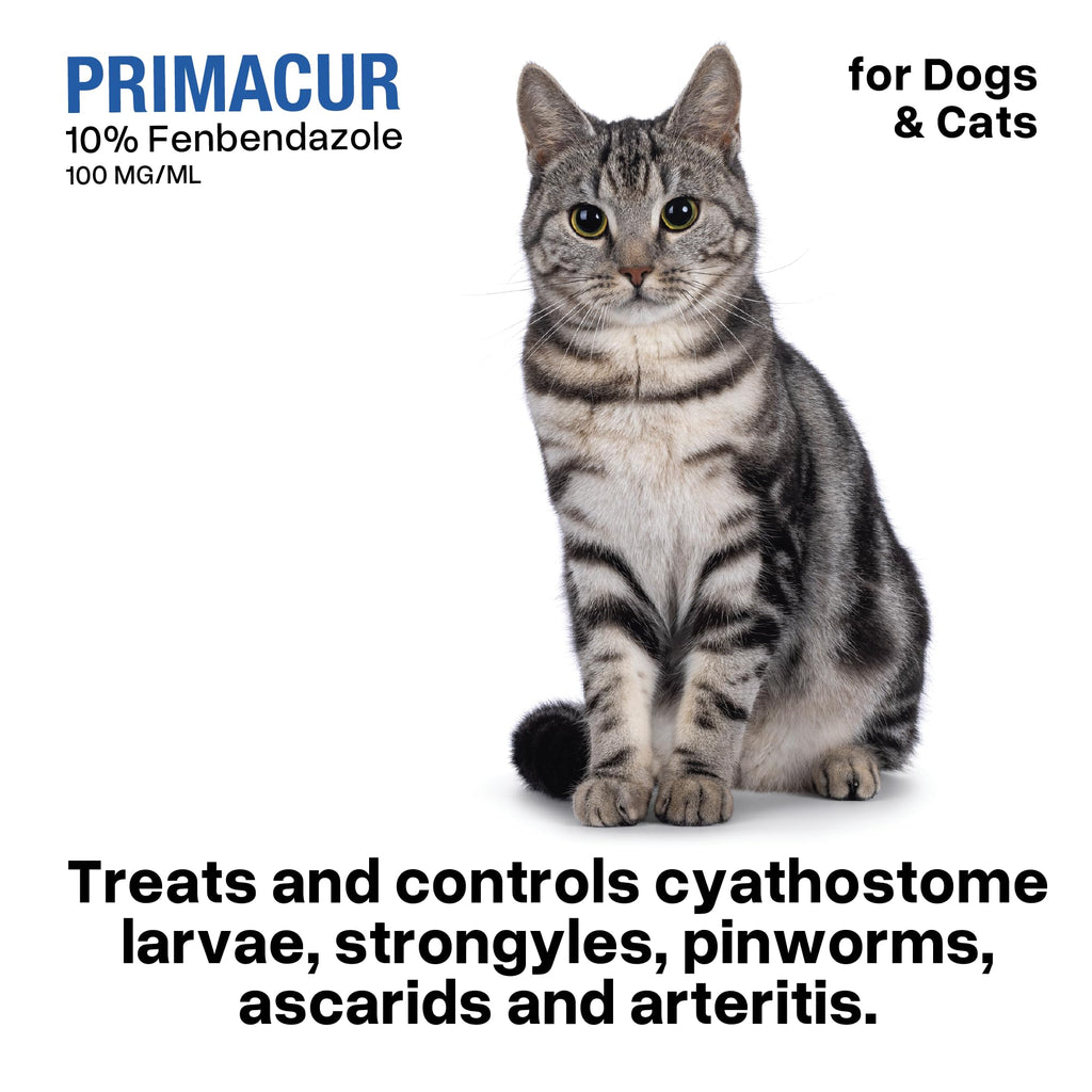 Broad-Spectrum Oral Suspension 10% for Dogs and Cats 120ML/4.1oz Bacon Flavor K7167