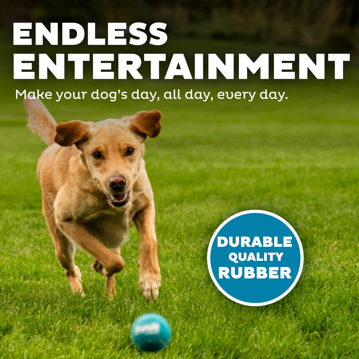 Squeaker Ballz Tennis Ball Dog Toy 4-Pack N821480