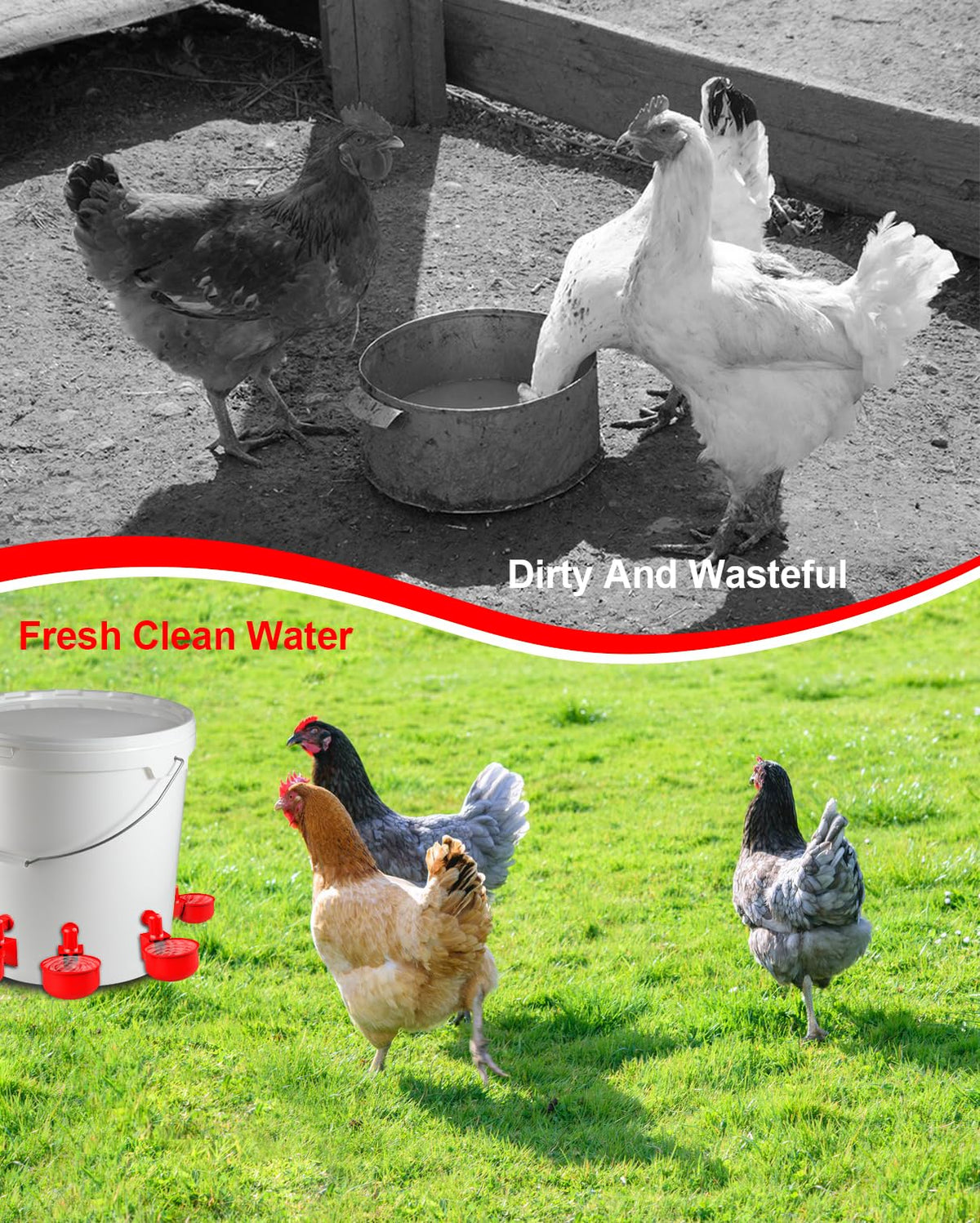 30 Packs Large Automatic Poultry Water Feeder Cups with Tee Fittings L3132