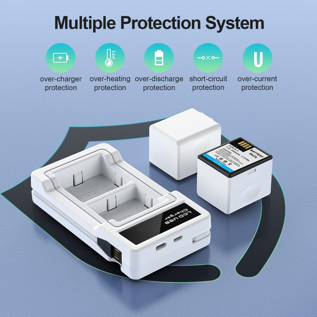 2440mAh Battery and Charger R169823