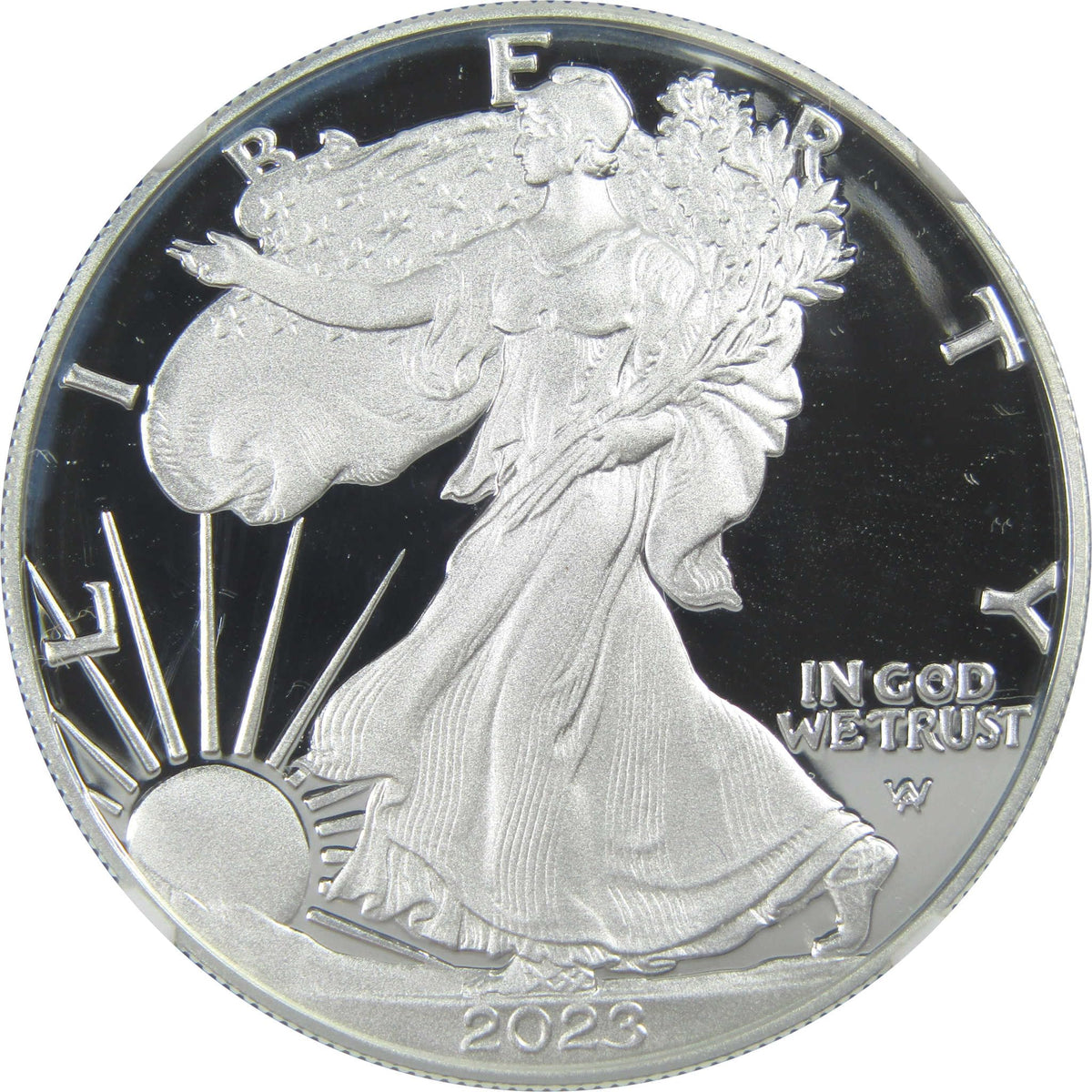 American Silver Eagle $1 Coin E37179