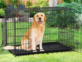 48 Inch Double-Door Dog Crate with Tray & Divider B746