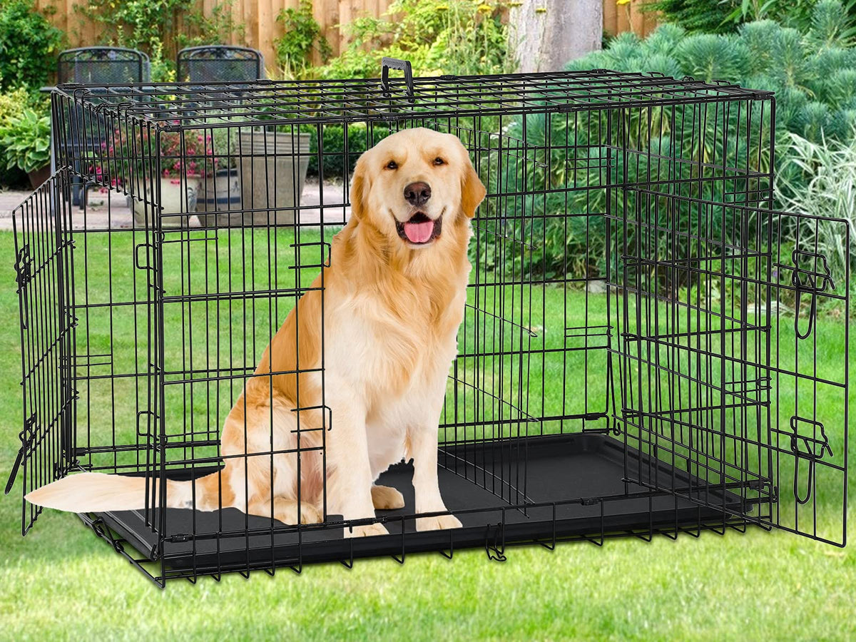 48 Inch Double-Door Dog Crate with Tray & Divider B746