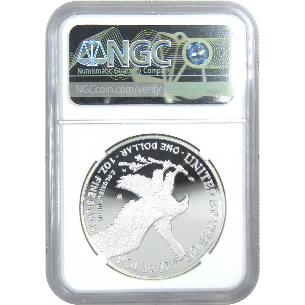 American Silver Eagle $1 Coin E37179
