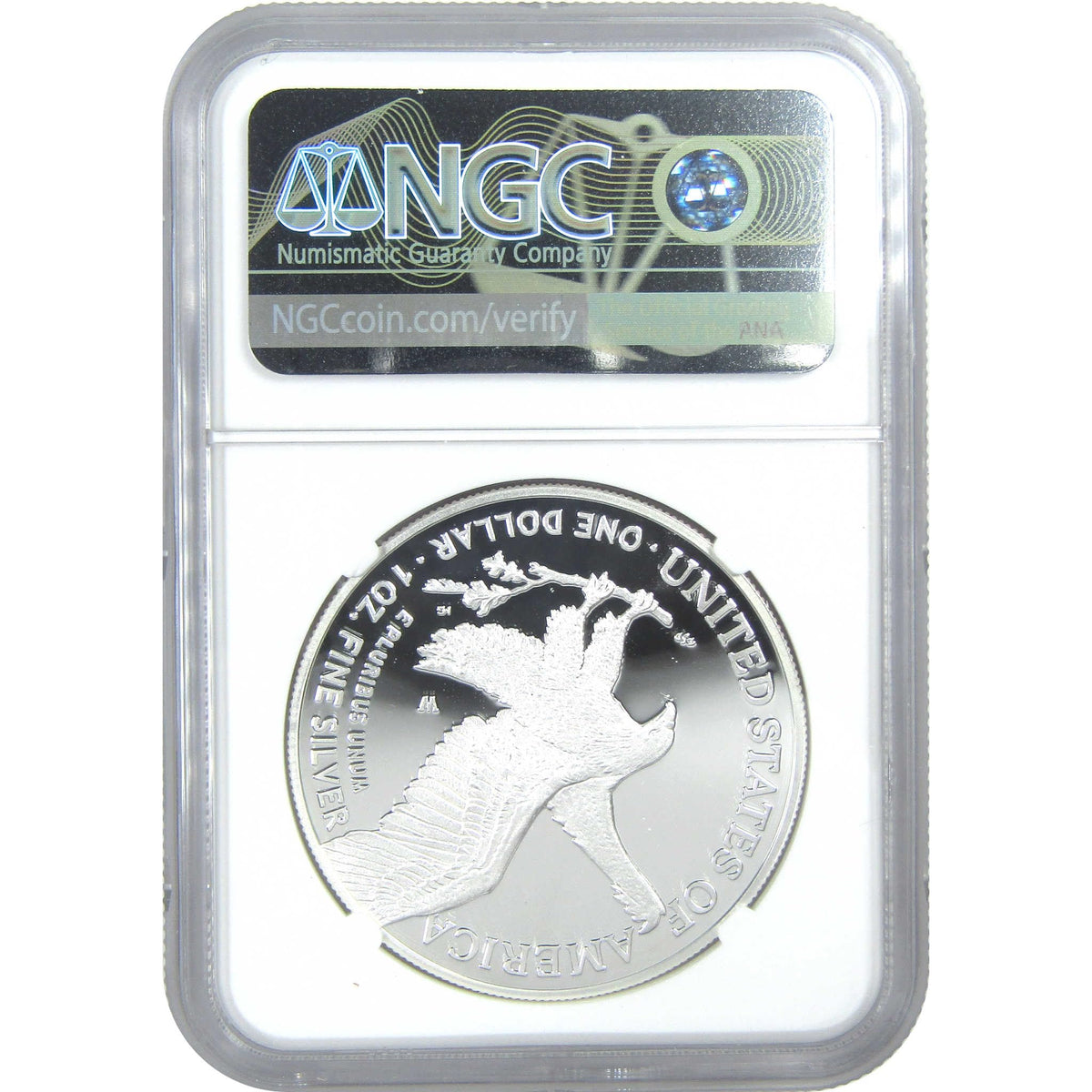 American Silver Eagle $1 Coin E37179