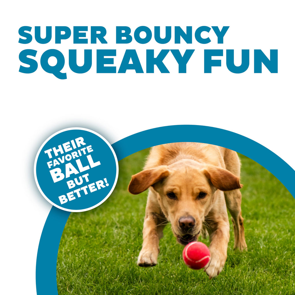 Squeaker Ballz Tennis Ball Dog Toy 4-Pack N821480