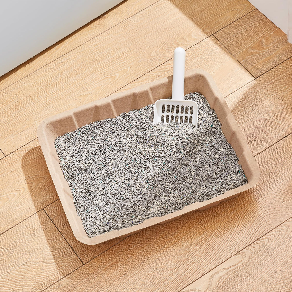 Disposable Cardboard Cat Litter Boxes 5 Pack N238